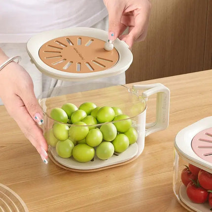 Fruit & Vegetable Drain Storage Box with Handle (Pack of 2)