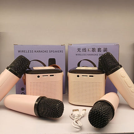 Y1 double mic speaker